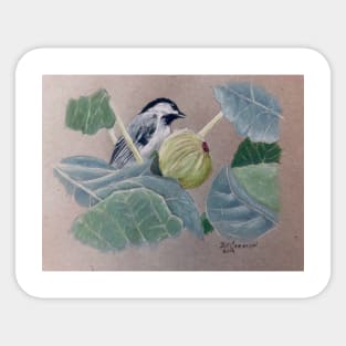 Chickadee Sticker